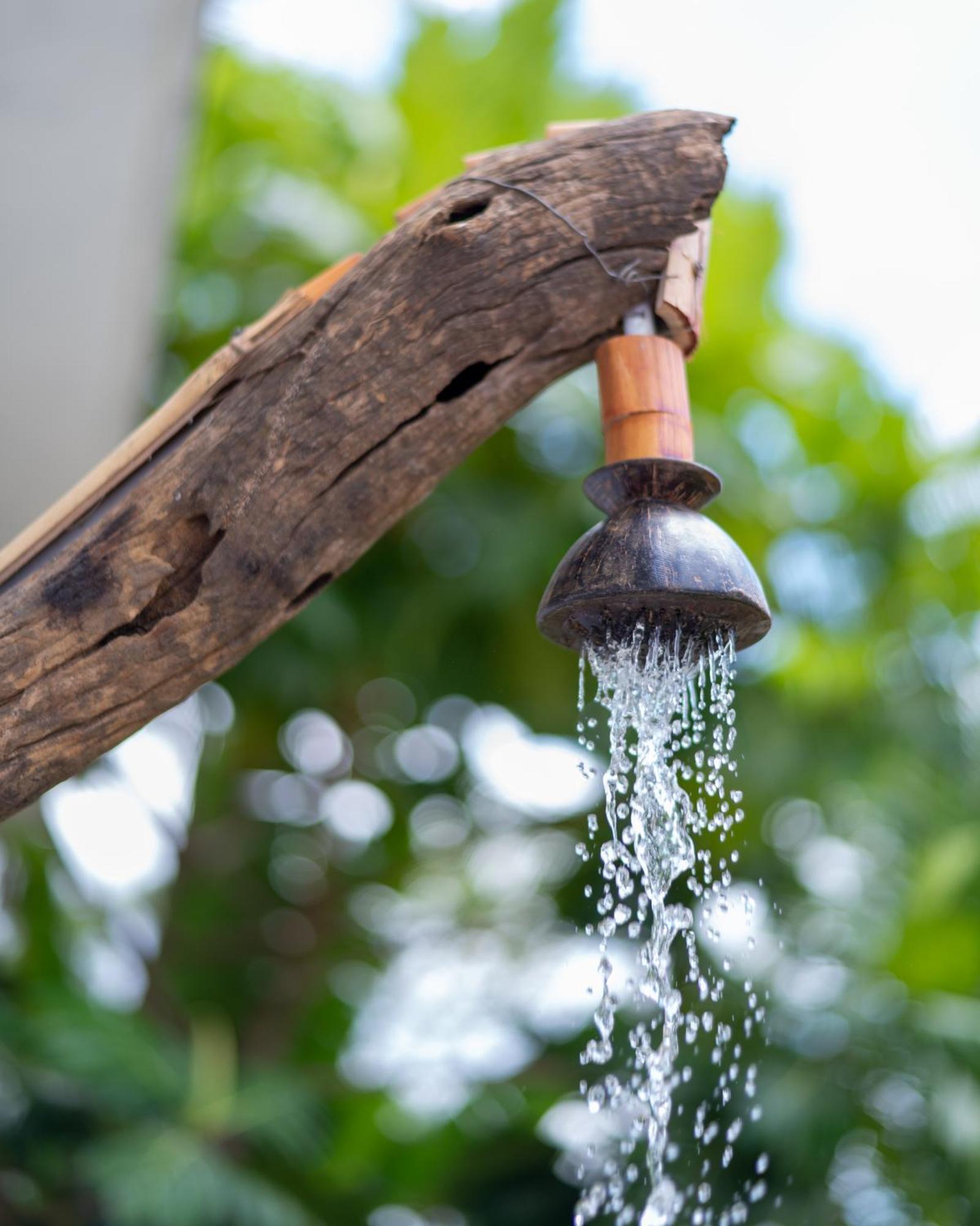 Moragaswewa Ayurvedic Lanka Wellness Hotel מראה חיצוני תמונה
